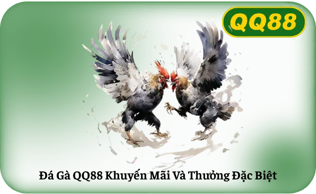 Đá Gà QQ88 Khuyến Mãi Và Thưởng Đặc Biệt