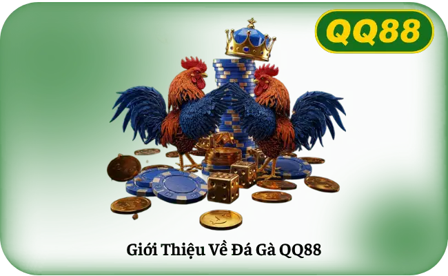 Giới Thiệu Về Đá Gà QQ88
