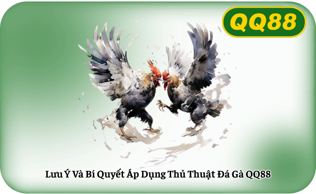 Lưu Ý Và Bí Quyết Áp Dụng Thủ Thuật Đá Gà QQ88