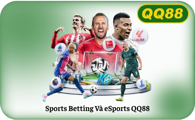 Sảnh thể thao QQ88 — 500+ sự kiện mỗi tuần, kèo châu Á cạnh tranh Bet365