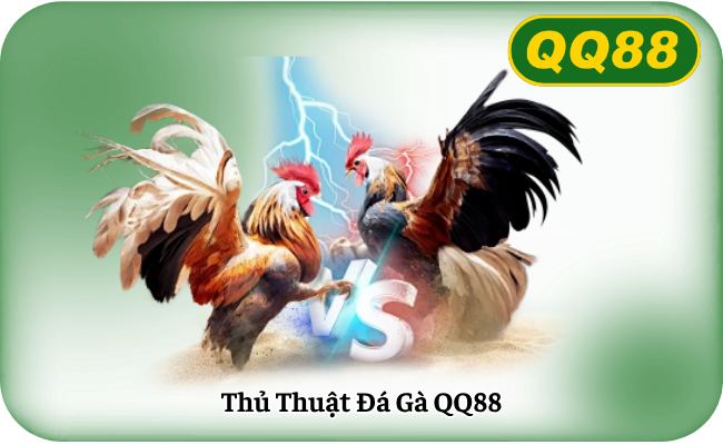 Thủ Thuật Đá Gà QQ88